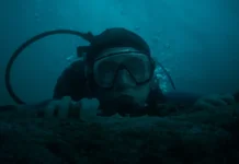 La Caída de la Ballena presenta nuevo tráiler: Austin Abrams lucha por sobrevivir dentro de una enorme ballena